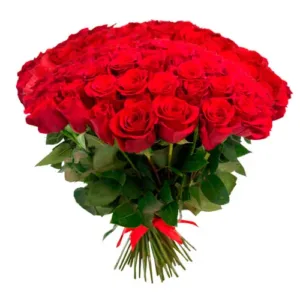 101 punast roosi"60 cm"