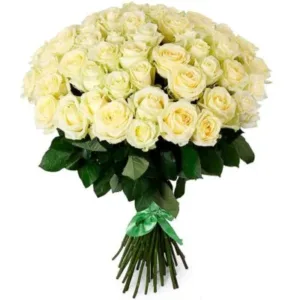 51 valget roosi "Ecuador"