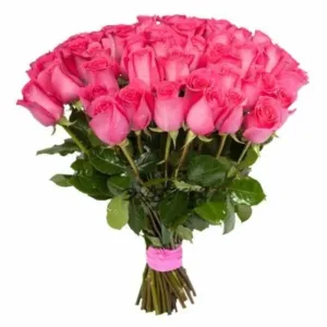 51 roosat roosi "Ecuador"