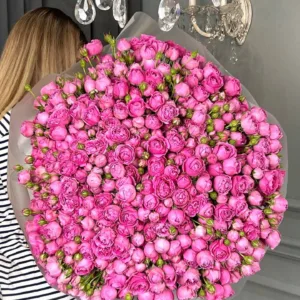 101 pojengroosi 50 cm