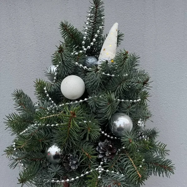 photo_2025-12-04_15-11-32