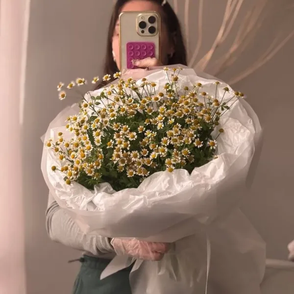 photo_2026-04-11_10-08-35