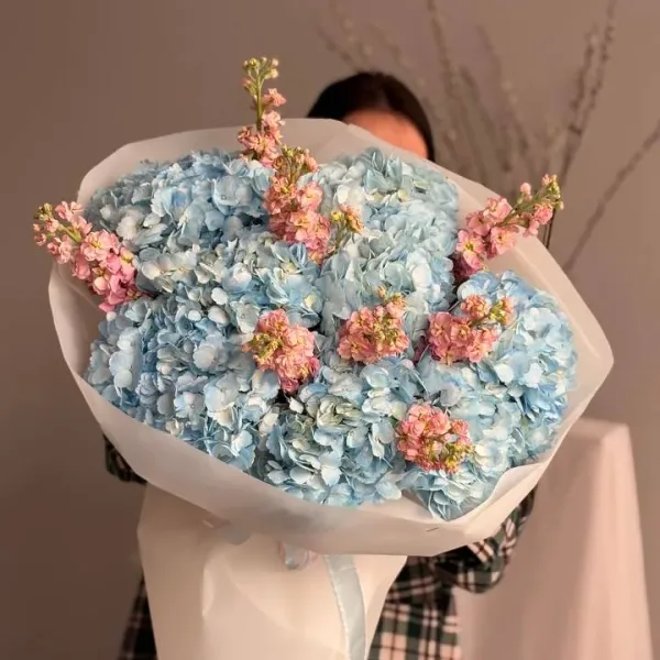 photo_2026-04-11_10-08-41