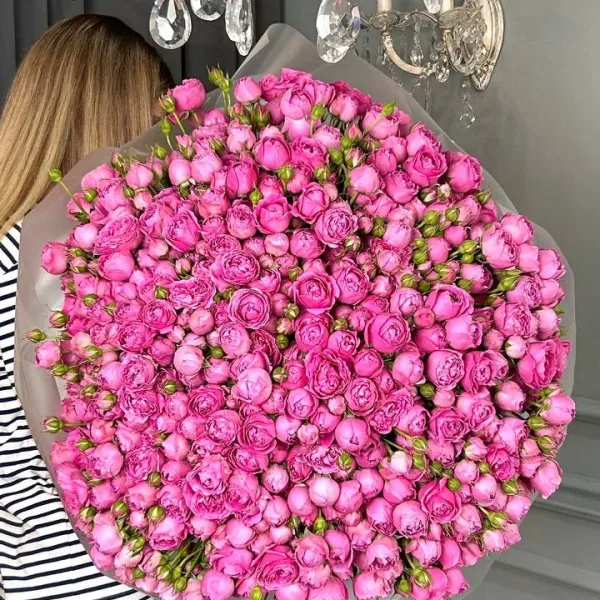 photo_2026-04-11_10-24-28 (2)