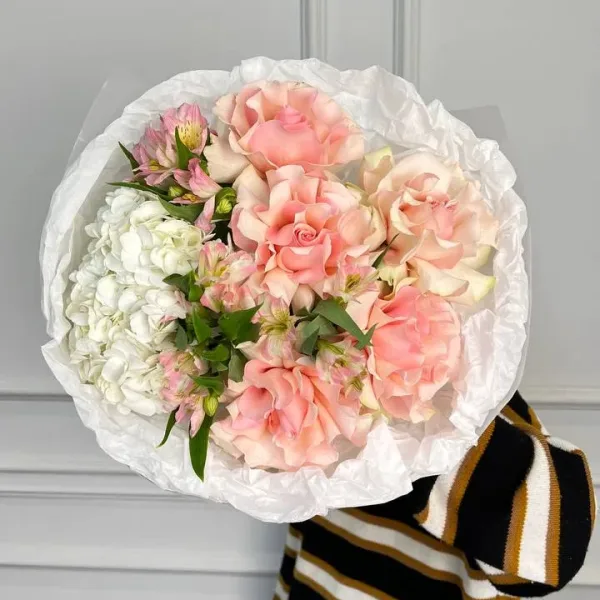 photo_2026-04-11_10-24-54