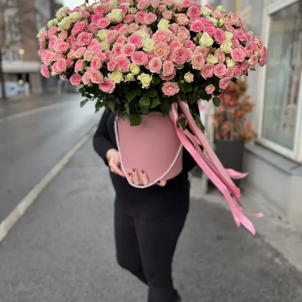 изображение_viber_2025-12-25_11-04-17-872