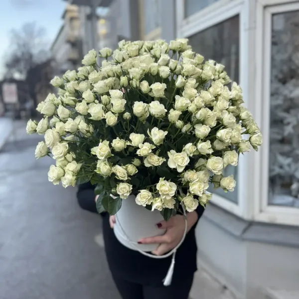 изображение_viber_2025-12-25_11-04-19-244